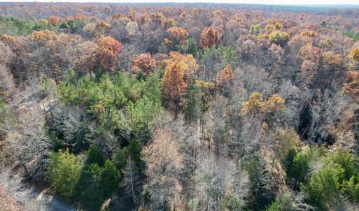 Photo #26 of SOLD property in Off Middlebrook Dr, Doswell, VA 13.8 acres