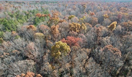 Photo #27 of SOLD property in Off Middlebrook Dr, Doswell, VA 13.8 acres