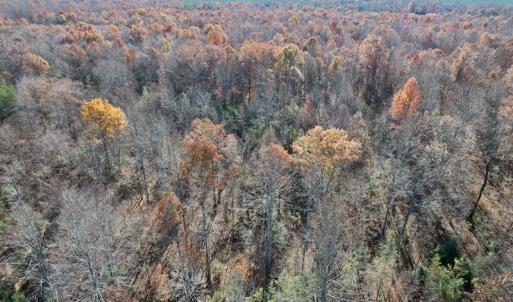 Photo #28 of SOLD property in Off Middlebrook Dr, Doswell, VA 13.8 acres
