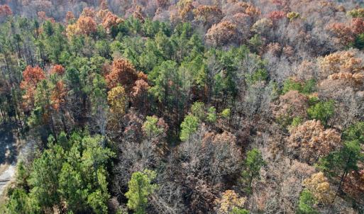 Photo #29 of SOLD property in Off Middlebrook Dr, Doswell, VA 13.8 acres