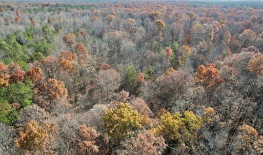 Photo #30 of SOLD property in Off Middlebrook Dr, Doswell, VA 13.8 acres