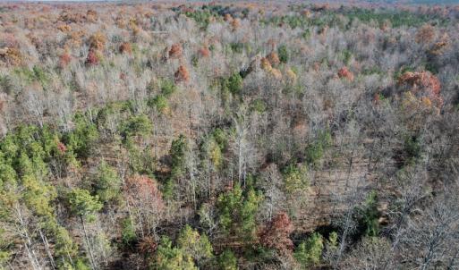 Photo #31 of SOLD property in Off Middlebrook Dr, Doswell, VA 13.8 acres