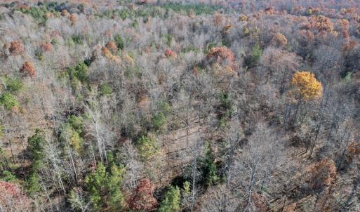 Photo #32 of SOLD property in Off Middlebrook Dr, Doswell, VA 13.8 acres