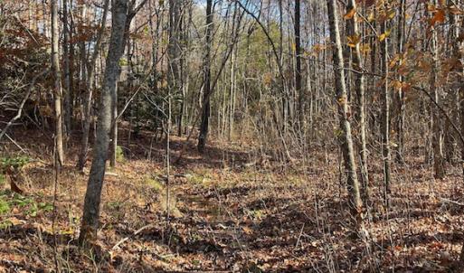 Photo #4 of SOLD property in Off Middlebrook Dr, Doswell, VA 13.8 acres