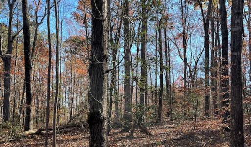 Photo #5 of SOLD property in Off Middlebrook Dr, Doswell, VA 13.8 acres