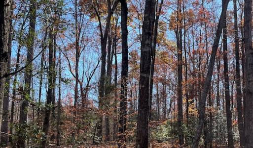 Photo #6 of SOLD property in Off Middlebrook Dr, Doswell, VA 13.8 acres