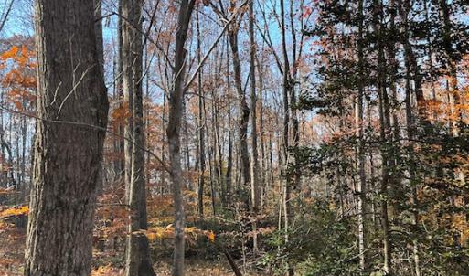 Photo #7 of SOLD property in Off Middlebrook Dr, Doswell, VA 13.8 acres