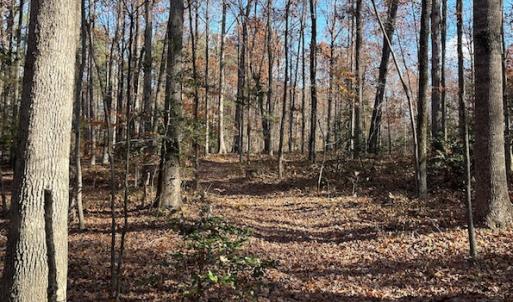 Photo #8 of SOLD property in Off Middlebrook Dr, Doswell, VA 13.8 acres