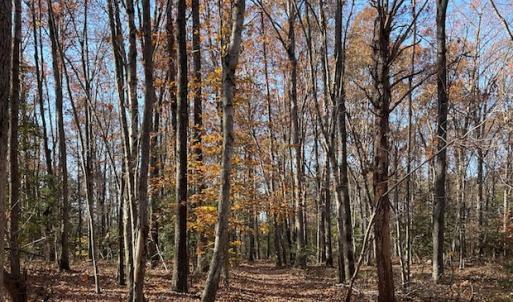 Photo #9 of SOLD property in Off Middlebrook Dr, Doswell, VA 13.8 acres