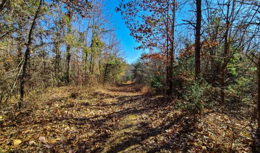 Photo #1 of SOLD property in Off Sandy Creek Church Road, Ringgold, VA 62.0 acres