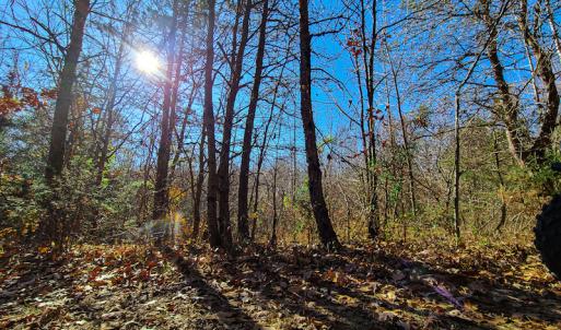 Photo #2 of SOLD property in Off Sandy Creek Church Road, Ringgold, VA 62.0 acres