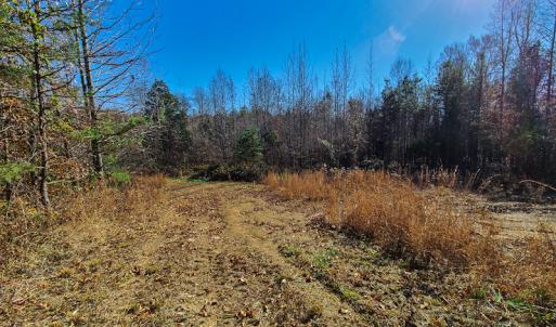 Photo #4 of SOLD property in Off Sandy Creek Church Road, Ringgold, VA 62.0 acres