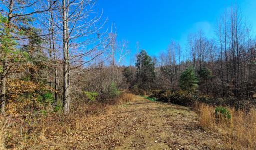Photo #5 of SOLD property in Off Sandy Creek Church Road, Ringgold, VA 62.0 acres