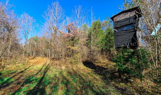 Photo #6 of SOLD property in Off Sandy Creek Church Road, Ringgold, VA 62.0 acres