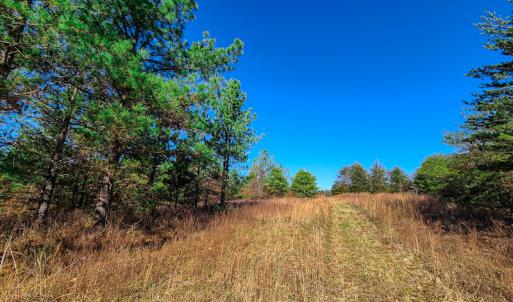 Photo #13 of SOLD property in Off Sandy Creek Church Road, Ringgold, VA 62.0 acres