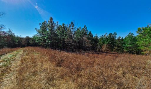 Photo #14 of SOLD property in Off Sandy Creek Church Road, Ringgold, VA 62.0 acres