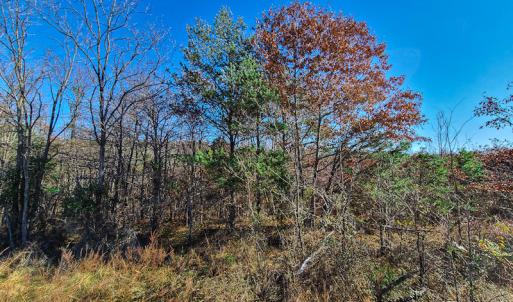 Photo #17 of SOLD property in Off Sandy Creek Church Road, Ringgold, VA 62.0 acres
