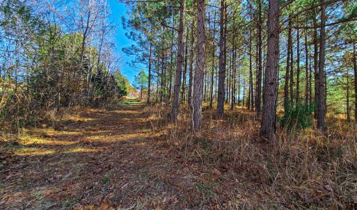 Photo #27 of SOLD property in Off Sandy Creek Church Road, Ringgold, VA 62.0 acres