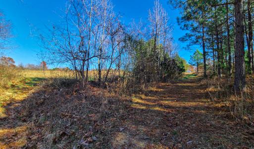 Photo #28 of SOLD property in Off Sandy Creek Church Road, Ringgold, VA 62.0 acres