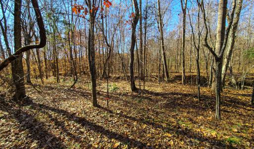 Photo #31 of SOLD property in Off Sandy Creek Church Road, Ringgold, VA 62.0 acres