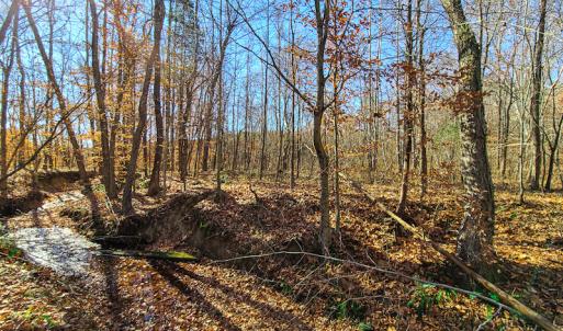 Photo #33 of SOLD property in Off Sandy Creek Church Road, Ringgold, VA 62.0 acres