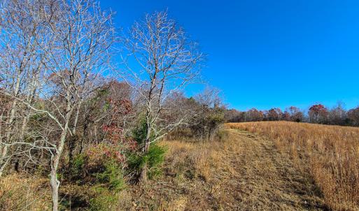 Photo #35 of SOLD property in Off Sandy Creek Church Road, Ringgold, VA 62.0 acres