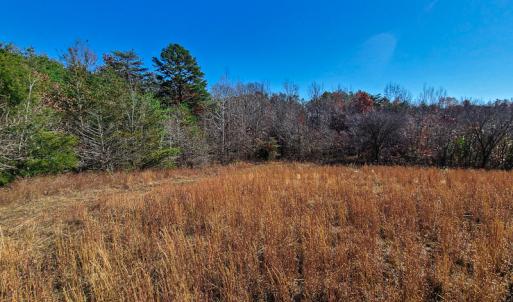 Photo #41 of SOLD property in Off Sandy Creek Church Road, Ringgold, VA 62.0 acres