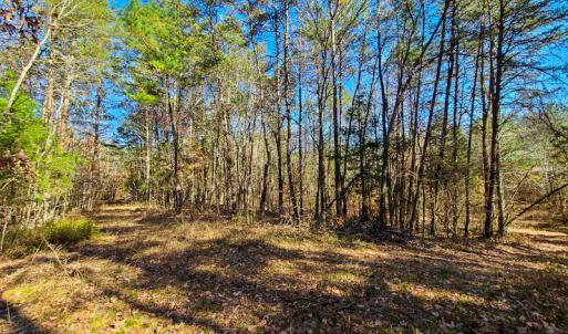 Photo #43 of SOLD property in Off Sandy Creek Church Road, Ringgold, VA 62.0 acres