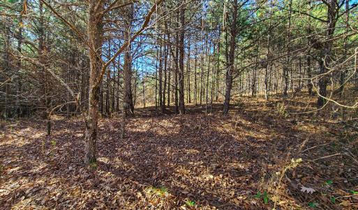 Photo #4 of SOLD property in Off McGinnis Lane, Ringgold, VA 5.0 acres