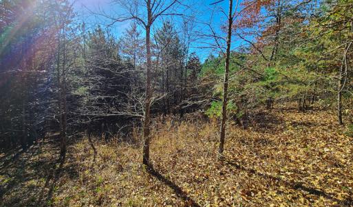 Photo #7 of SOLD property in Off McGinnis Lane, Ringgold, VA 5.0 acres