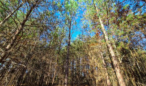 Photo #9 of SOLD property in Off McGinnis Lane, Ringgold, VA 5.0 acres