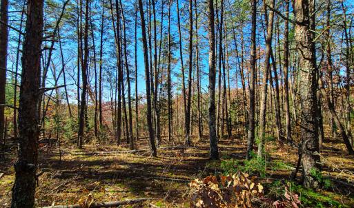 Photo #11 of SOLD property in Off McGinnis Lane, Ringgold, VA 5.0 acres