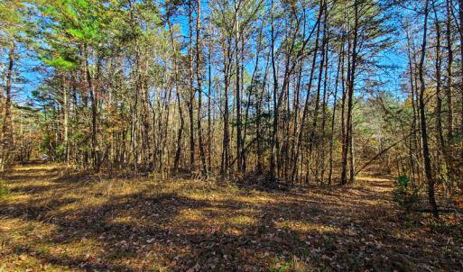 Photo #2 of SOLD property in Off McGinnis Lane, Ringgold, VA 5.0 acres