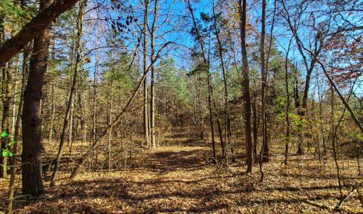 Photo #4 of SOLD property in Off McGinnis Lane, Ringgold, VA 5.0 acres