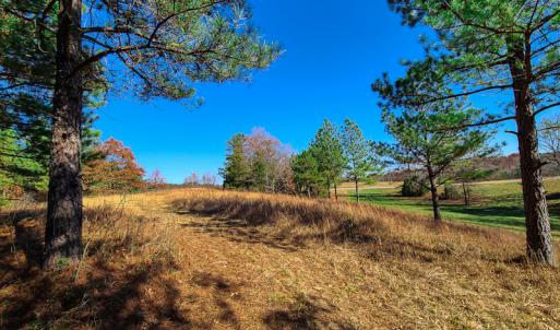 Photo #7 of SOLD property in Off McGinnis Lane, Ringgold, VA 5.0 acres