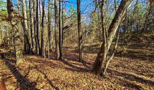Photo #17 of SOLD property in Off McGinnis Lane, Ringgold, VA 5.0 acres