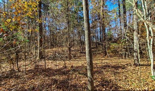 Photo #19 of SOLD property in Off McGinnis Lane, Ringgold, VA 5.0 acres