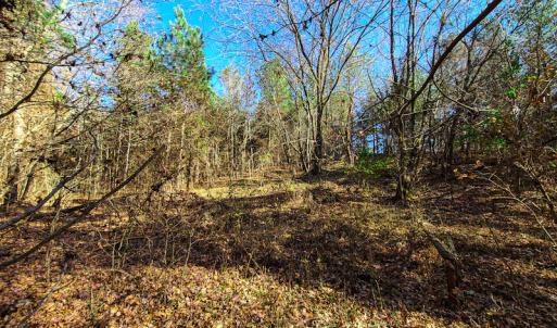 Photo #20 of SOLD property in Off McGinnis Lane, Ringgold, VA 5.0 acres