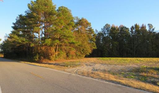 Photo #2 of SOLD property in Off Dallas Road, Lumberton, NC 98.3 acres