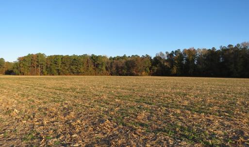 Photo #3 of SOLD property in Off Dallas Road, Lumberton, NC 98.3 acres