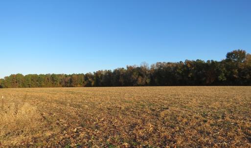Photo #6 of SOLD property in Off Dallas Road, Lumberton, NC 98.3 acres