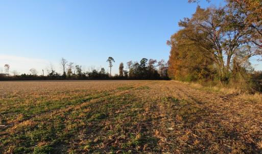 Photo #10 of SOLD property in Off Dallas Road, Lumberton, NC 98.3 acres