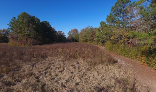 Photo #4 of SOLD property in Off John L Road, Maxton, NC 8.0 acres