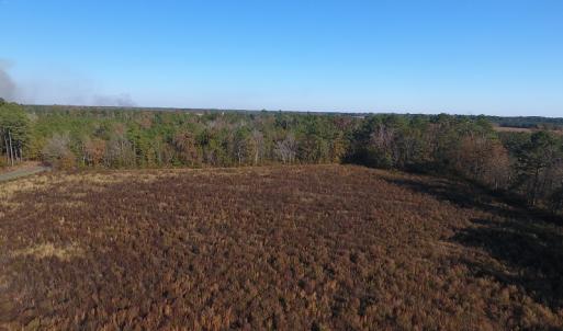Photo #4 of SOLD property in Off John L Road, Maxton, NC 7.4 acres