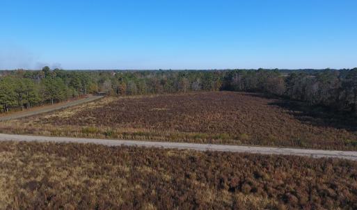 Photo #3 of SOLD property in Off John L Road, Maxton, NC 12.4 acres