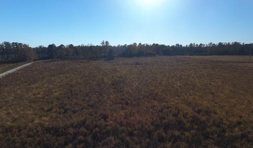 Photo #4 of SOLD property in Off John L Road, Maxton, NC 12.4 acres