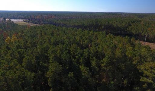 Photo #7 of SOLD property in Off Hwy 17, Bolivia, NC 46.8 acres