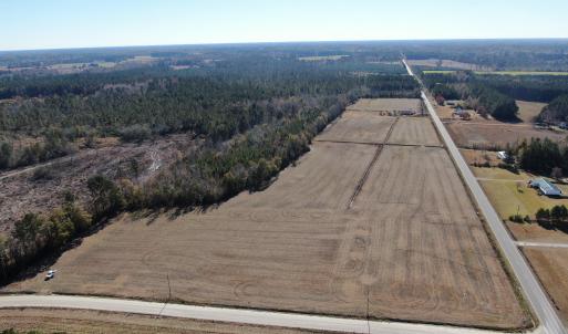 Photo #5 of SOLD property in Off Fair Bluff Highway, Green Sea, SC 43.0 acres