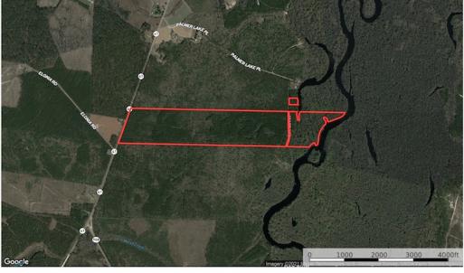 Photo #1 of Off Hwy 41, Marion, SC 133.0 acres