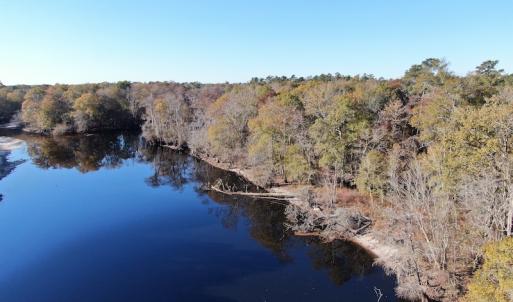 Photo #3 of Off Hwy 41, Marion, SC 133.0 acres